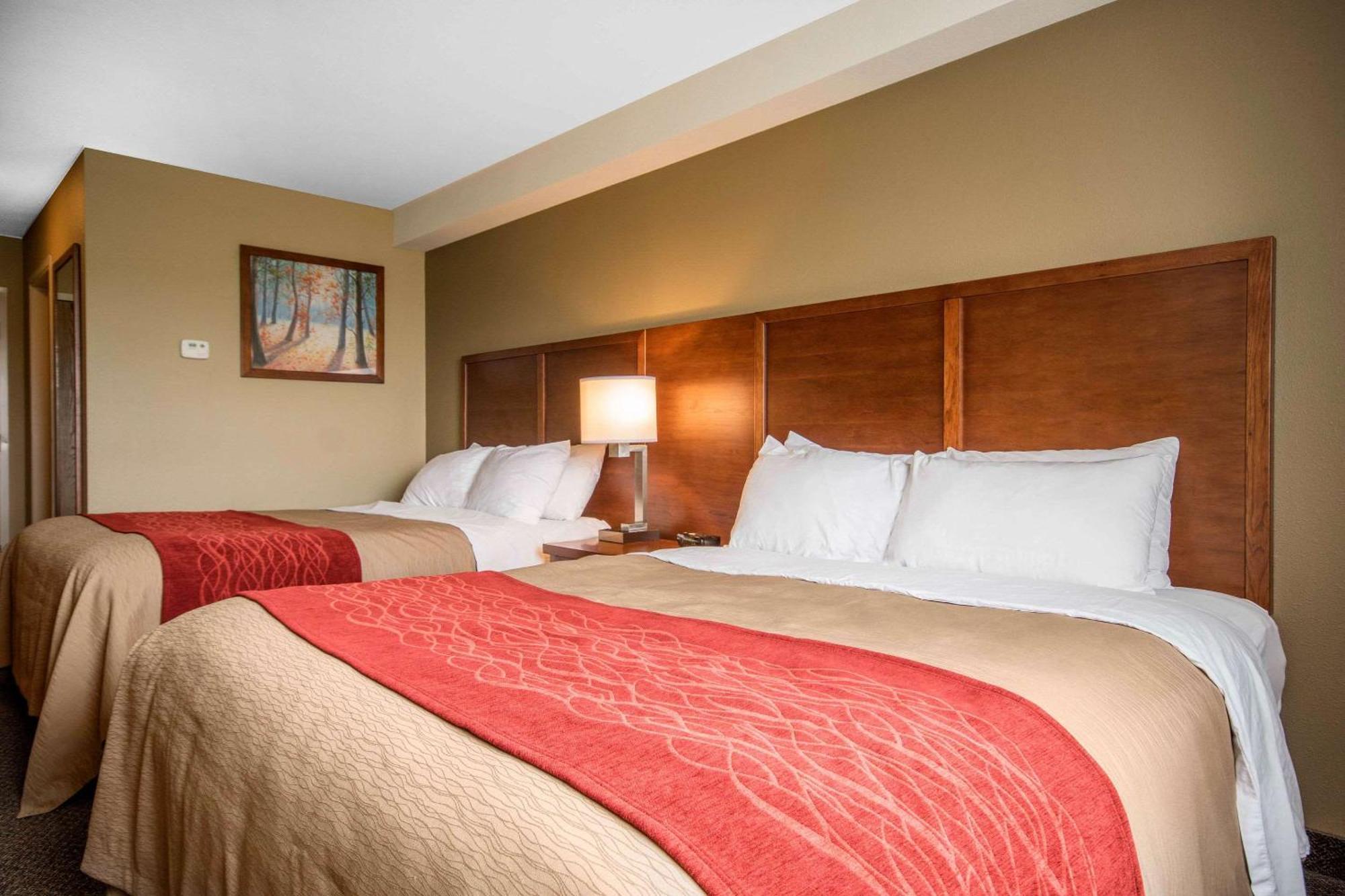 Comfort & Hotel