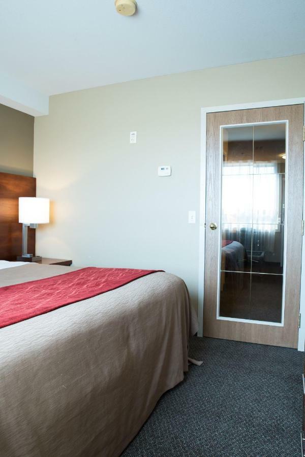 Comfort & Hotel