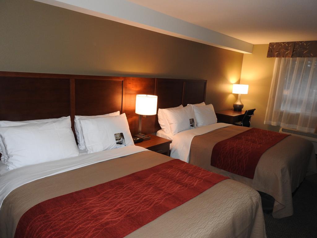 Comfort & Hotel